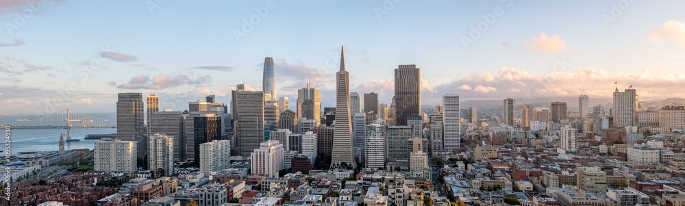 the skyline of san francisco in the evening light