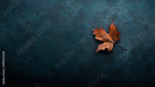 closeup of a dry maple leaf on a blue colored concrete surface photo