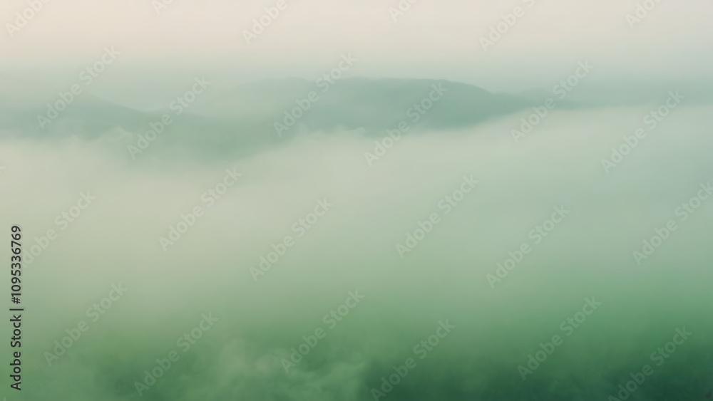 Obraz premium green background