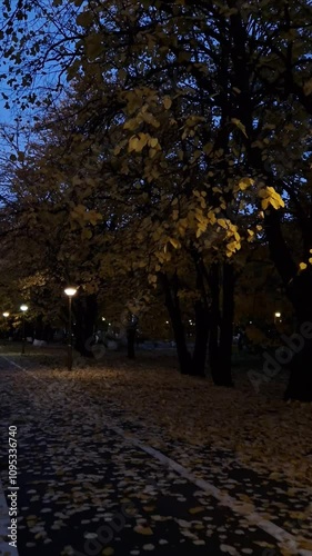 Wallpaper Mural a lamppost illuminating a path lined with trees, their leaves golden against the twilight. Fallen leaves carpet the ground, creating a serene autumn scene Torontodigital.ca