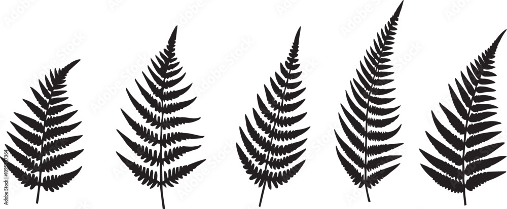 set of fern leaves silhouettes vector set of fern leaves silhouettes vector