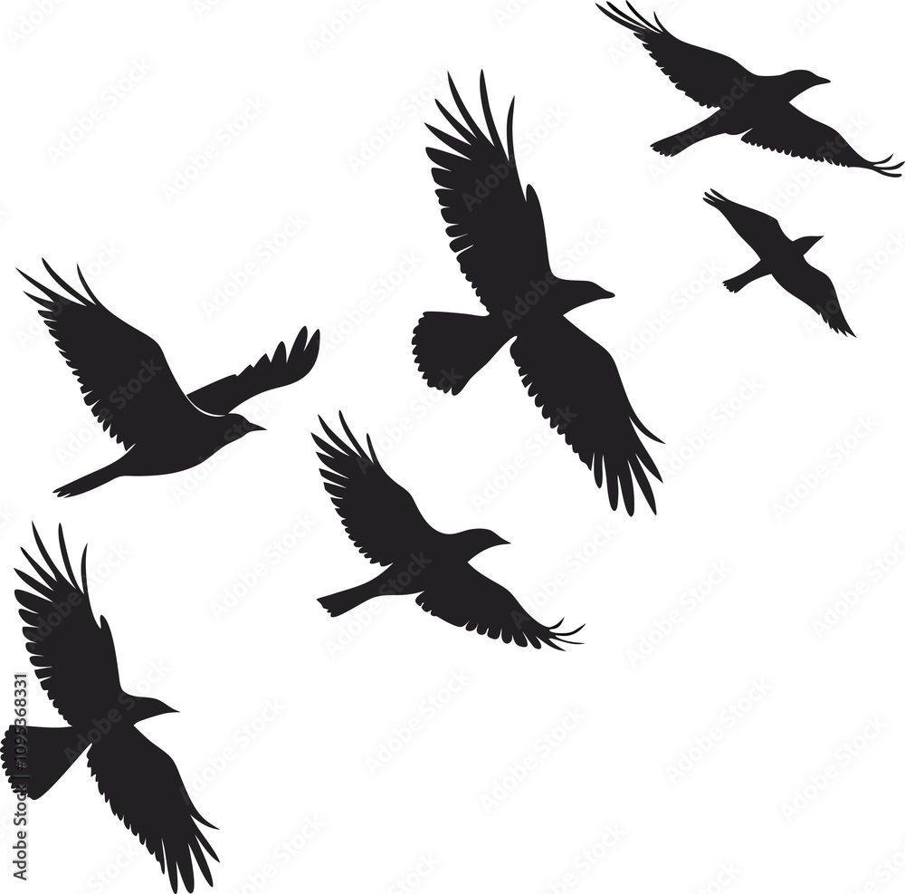 Fototapeta premium Bird