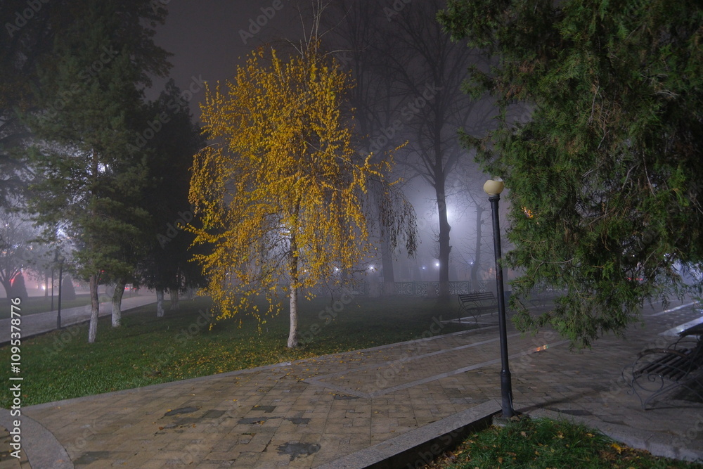 Obraz premium Tall leafless trees against a backdrop of thick fog. Bright streetlight shines through the branches, with a decorative fence and statues visible below. The atmosphere is mysterious and serene.