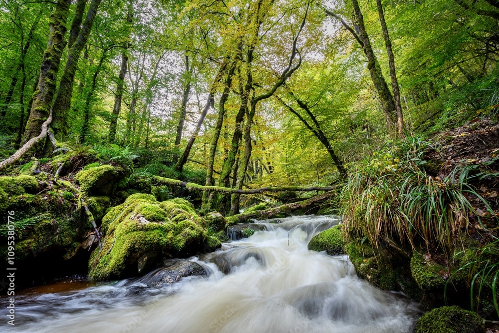 Flowing water Gorges de la Canche Morvan France Flowing water Gorges de la Canche Morvan France