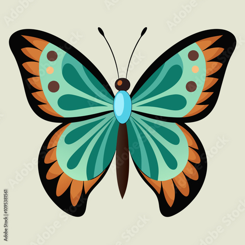 butterfly on white background