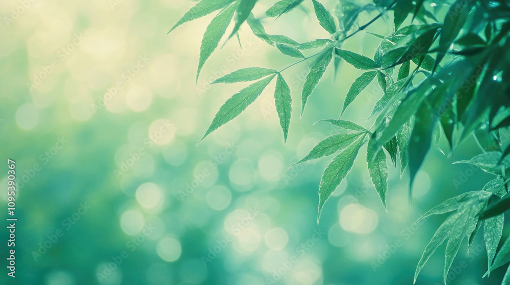 Abstract composition featuring lush green hemp leaves with soft lighting and artistic bokeh effects Abstract composition featuring lush green hemp leaves with soft lighting and artistic bokeh effects