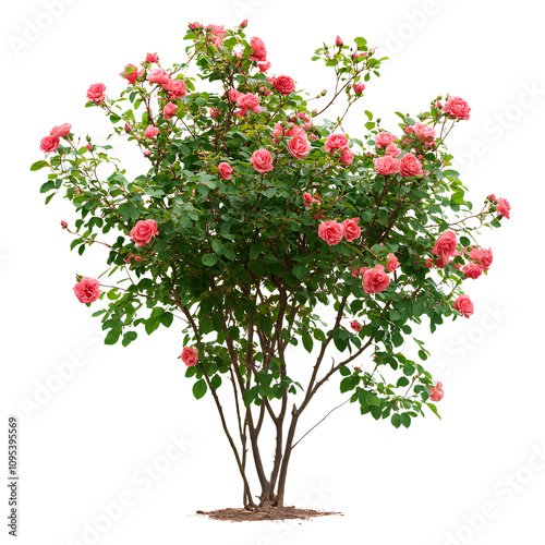 tree with flowers