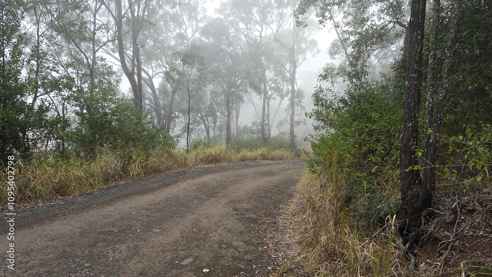Naklejka premium The image shows a foggy dirt road winding through a dense forest of tall trees and dry grass. The atmosphere is serene and misty, with muted light filtering through the fog-covered landscape.