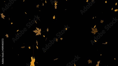 Autumn Leaves Falling Version 4