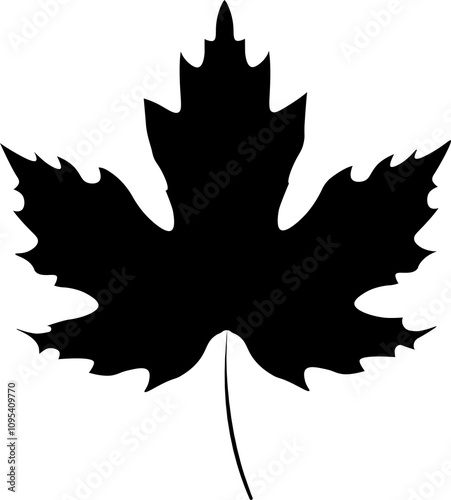 maple leaf on a white background