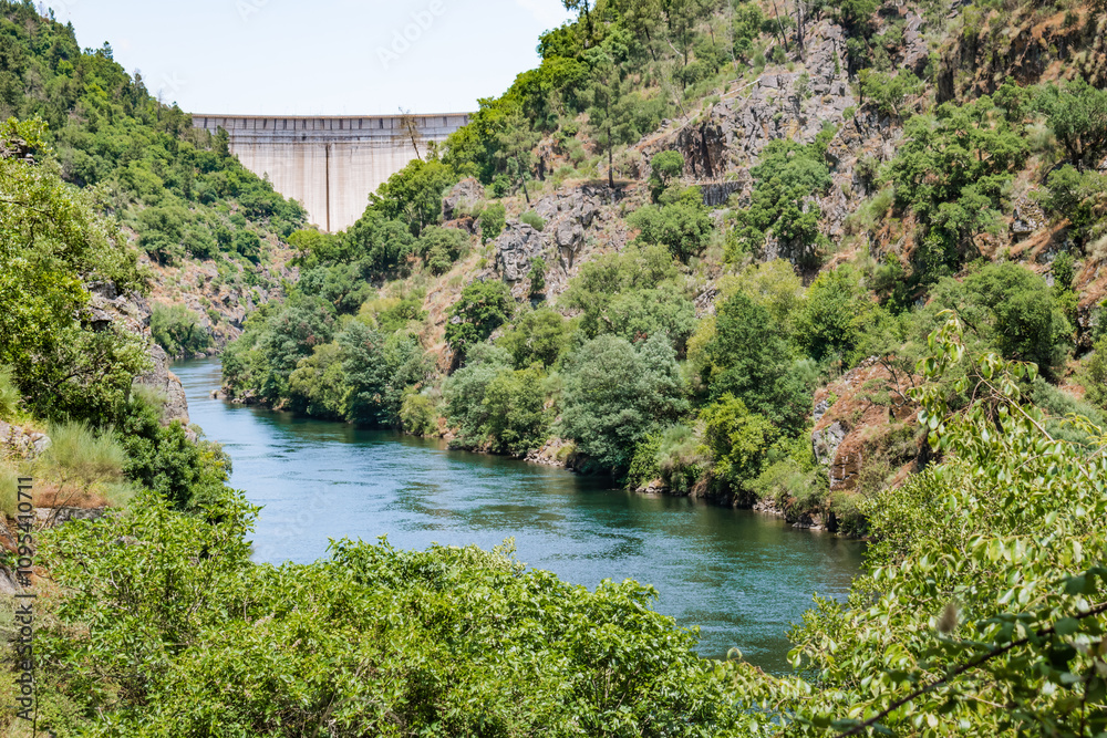 Leaves and green vegetation on the banks of the river Zêzere with the Cabril dam in the background, Pedrogão Grande PORTUGAL Leaves and green vegetation on the banks of the river Zêzere with the Cabril dam in the background, Pedrogão Grande PORTUGAL