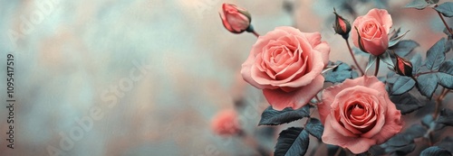 Delicate pink roses blooming in a serene garden during early morning light