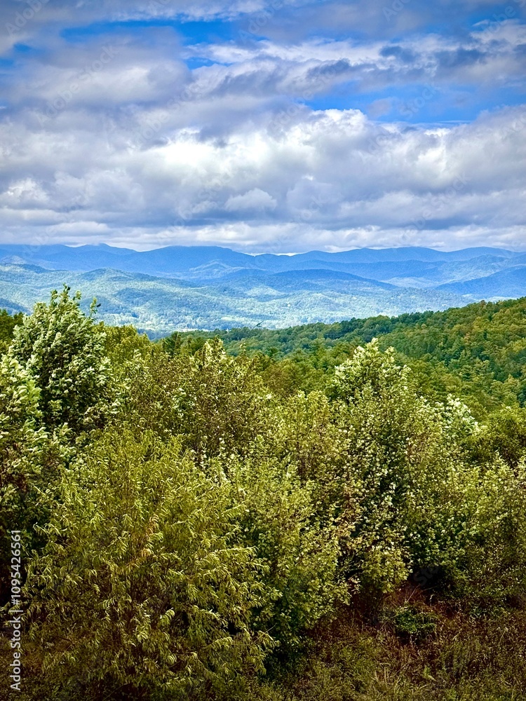 Obraz premium Mountain View