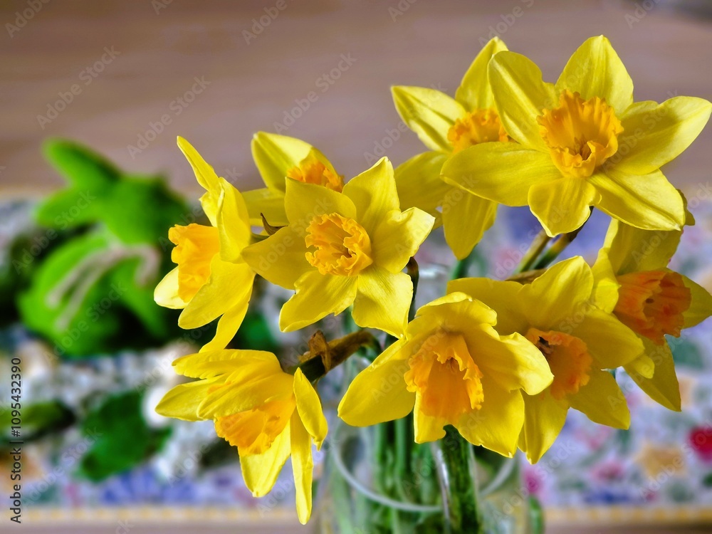 Fototapeta premium Spring flowers daffodils on the table.