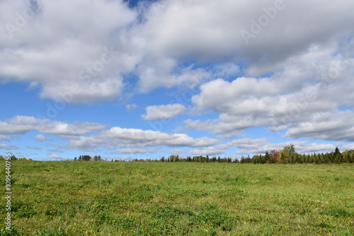 A field under a blue sky, Québec, Canada