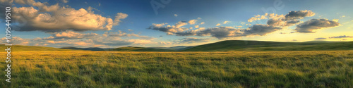 Peaceful Meadow at Dusk: Soft light bathes the gentle slopes, as fluffy clouds drift across the sky