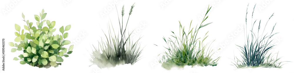 Obraz premium A set of watercolor illustration of a green leafy bush on a transparent background. Suitable for nature designs, garden projects, botanical illustrations, and eco-friendly themes, adding a fresh.