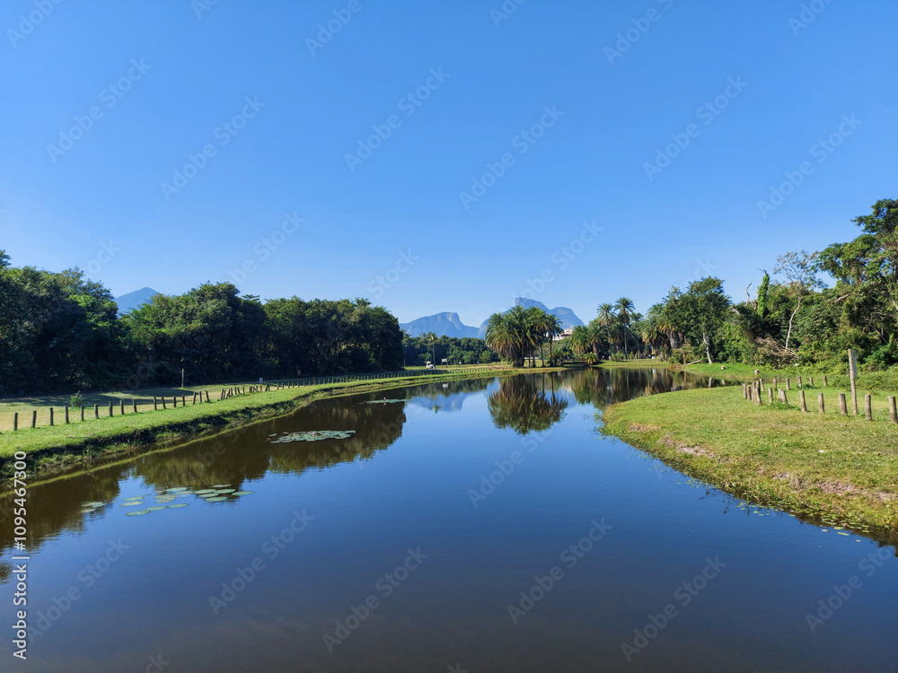 Fototapeta premium lake in the park