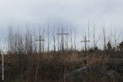 Wallpaper Mural Holy Land, Waterbury CT Torontodigital.ca