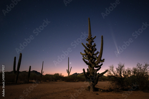 Fényképezés Comet C/2023 A3 (Tsuchinshan-ATLAS) over the Arizona sonoran desert