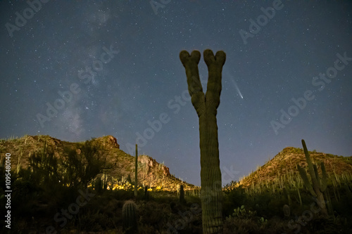 Comet C/2023 A3 (Tsuchinshan-ATLAS) over the Arizona sonoran desert