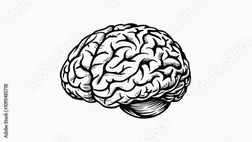 Illustrated human brain, neutral mood, black and white sketch on white background