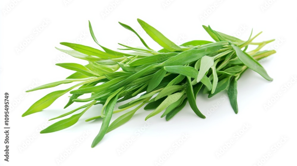 A bunch of fresh tarragon with its slender green leaves and licorice-like aroma, Each sprig's bold flavor and culinary versatility captured with precision A bunch of fresh tarragon with its slender green leaves and licorice-like aroma, Each sprig's bold flavor and culinary versatility captured with precision