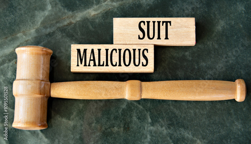 Foto MALICIOUS SUIT - words on wooden blocks on a green background with a judge's gav