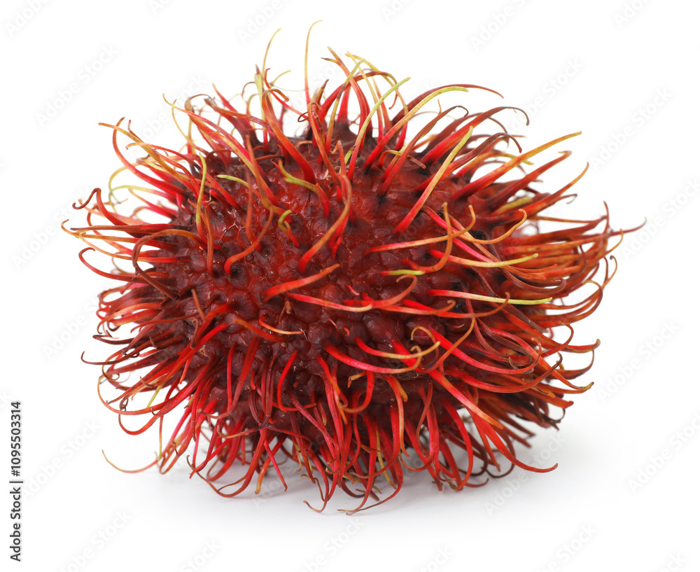 Fototapeta premium One whole rambutan isolated on white. Exotic fruit