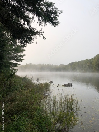 morning on the lake