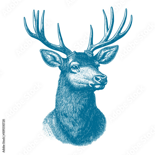 Detailed Elk with Huge Antlers. Vintage Woodcut Engraving style vector Illustration. photo