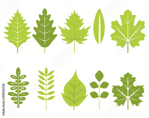 icon set of green leaf