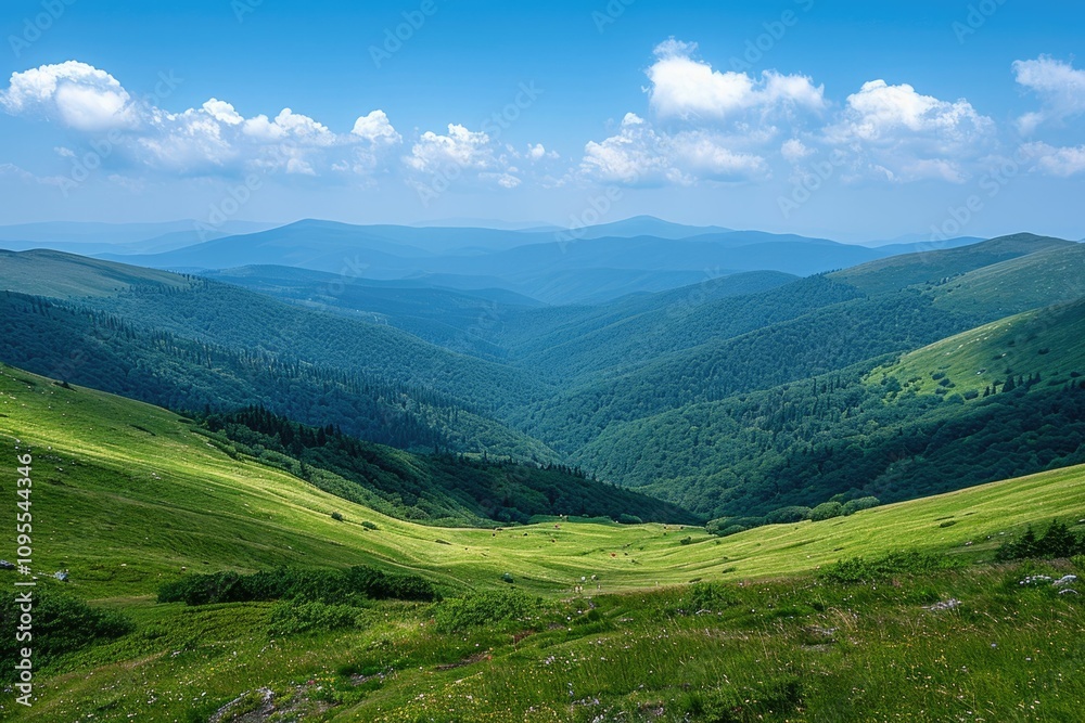 View of mountain meadows and bright blue sky in Ukrainian Carpathians. View of mountain meadows and bright blue sky in Ukrainian Carpathians.