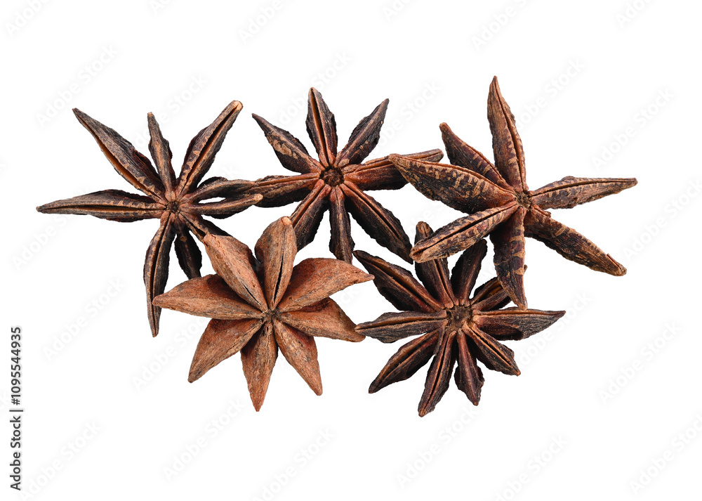 star anise isolated on transparent png star anise isolated on transparent png