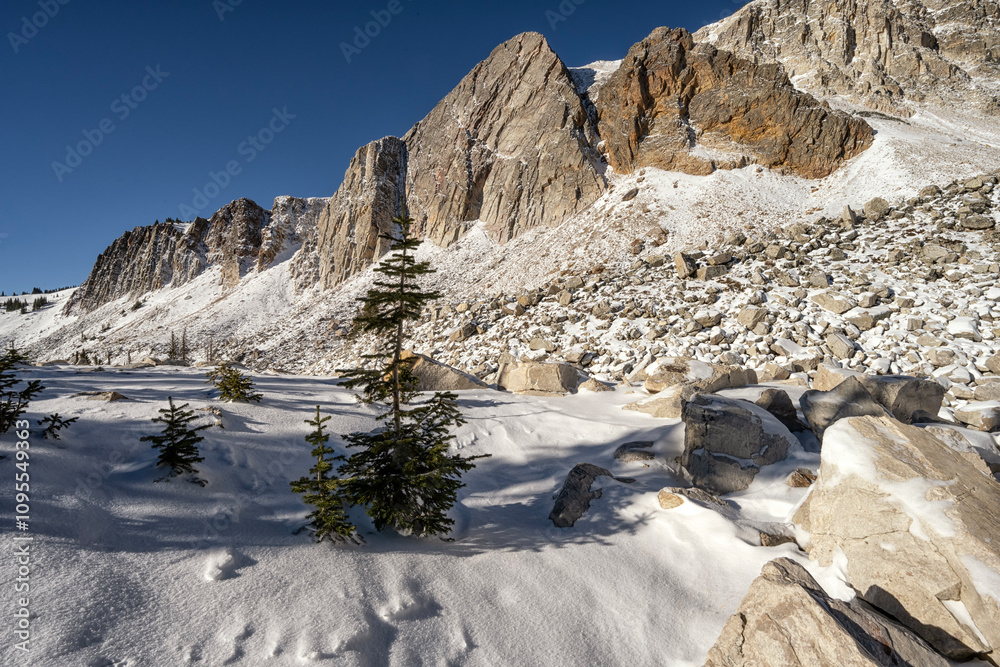 Obraz premium Snowy Range in the early winter; Wyoming