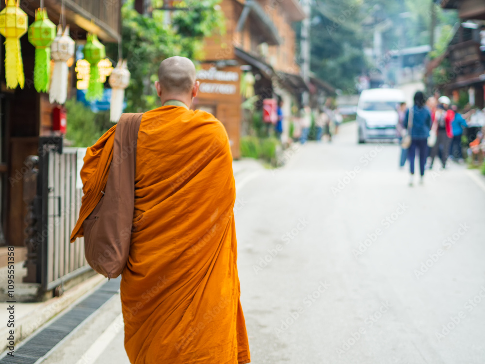 Ban Mae Kampong village is surrounded by the forest area with the domination of hill evergreen forest in Chiang Mai, Thailand