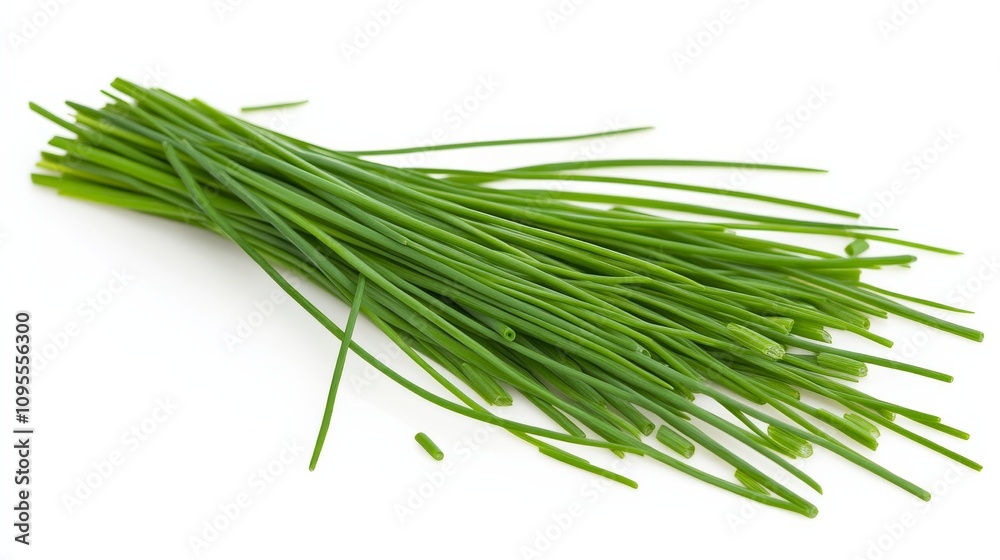 A fresh bunch of chives with their vibrant green color and mild onion flavor, Each stem’s bright color and subtle imperfections captured with precision A fresh bunch of chives with their vibrant green color and mild onion flavor, Each stem’s bright color and subtle imperfections captured with precision