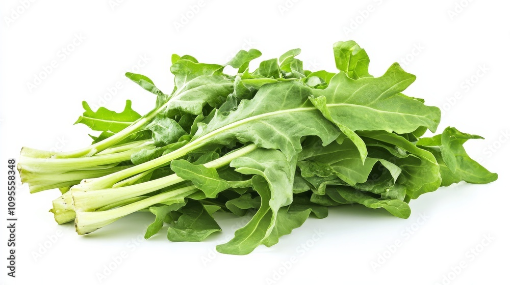 A fresh bunch of dandelion greens with their vibrant green leaves and bitter taste, Each leaf’s bright color and subtle imperfections captured with precision A fresh bunch of dandelion greens with their vibrant green leaves and bitter taste, Each leaf’s bright color and subtle imperfections captured with precision