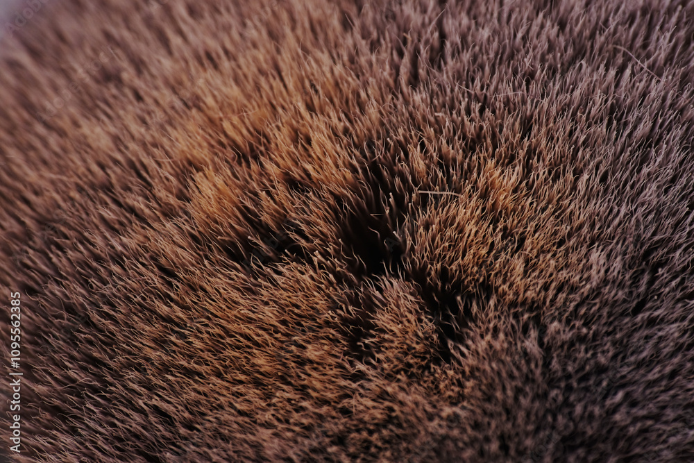 Macro texture of used brush blusher Macro texture of used brush blusher