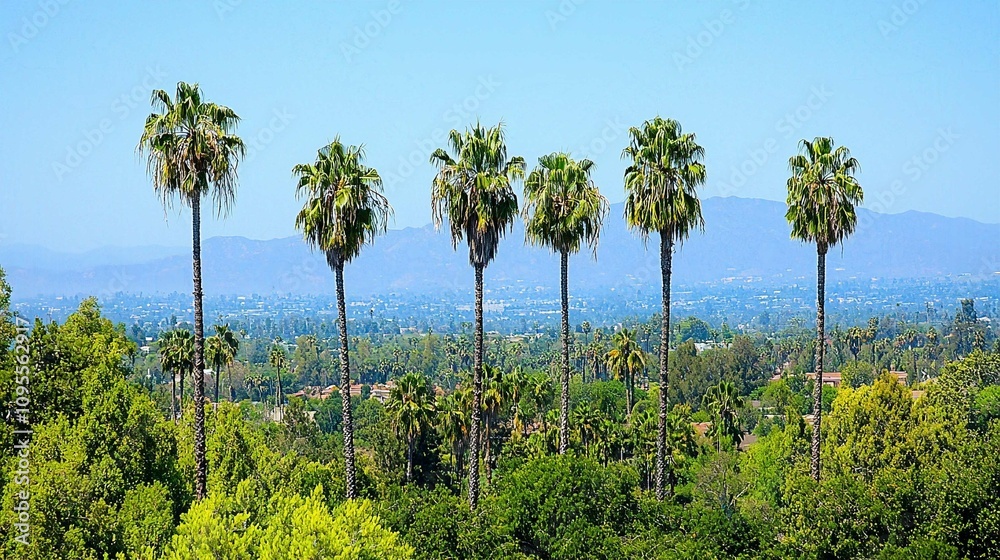 Naklejka premium Tropical Palm Tree Landscape with Blue Sky and Coconut Beach View