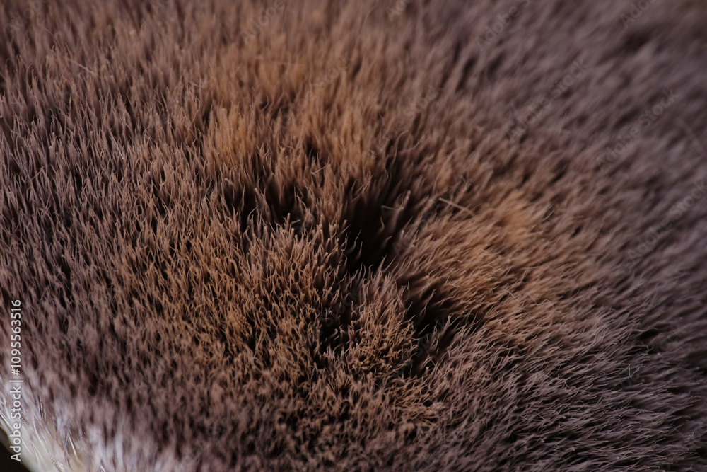 Macro texture of used brush blusher Macro texture of used brush blusher