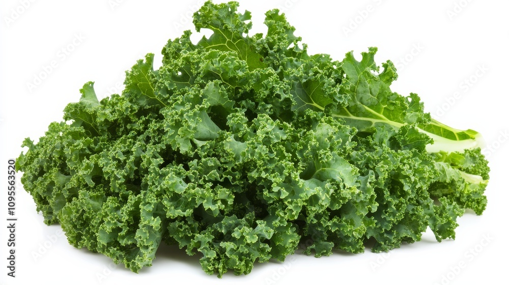 A fresh bunch of kale leaves with their vibrant green color and curly edges, Each leaf’s bright green color and subtle imperfections captured with precision A fresh bunch of kale leaves with their vibrant green color and curly edges, Each leaf’s bright green color and subtle imperfections captured with precision