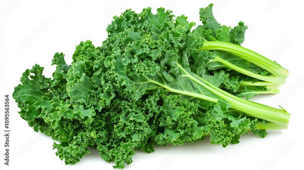 A fresh bunch of kale leaves with their vibrant green color and curly edges, Each leaf’s bright green color and subtle imperfections captured with precision A fresh bunch of kale leaves with their vibrant green color and curly edges, Each leaf’s bright green color and subtle imperfections captured with precision
