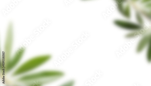 Olive Leaves Border Design Realistic Greenery Clipart for Wedding Invitations Greeting Cards Save the Date and Stationery