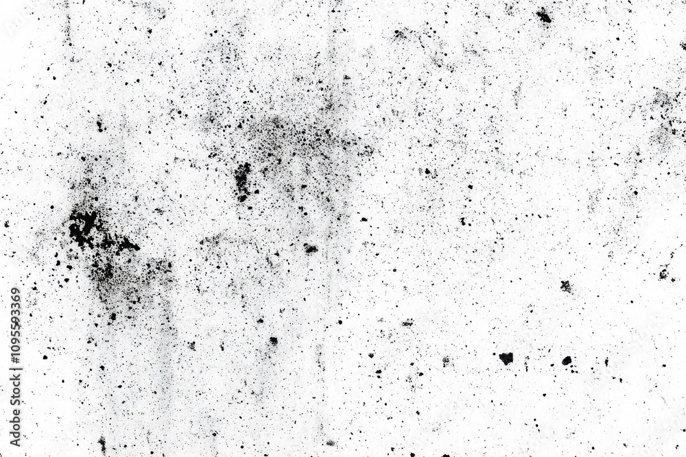 Fototapeta premium Abstract Black and White Texture with Chaotic Dust Particles and Speckles on White Background for Vintage Grunge Aesthetic