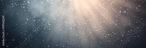 Water droplets and light playing together in a misty atmosphere, optische effekte, atmosp?re, luft