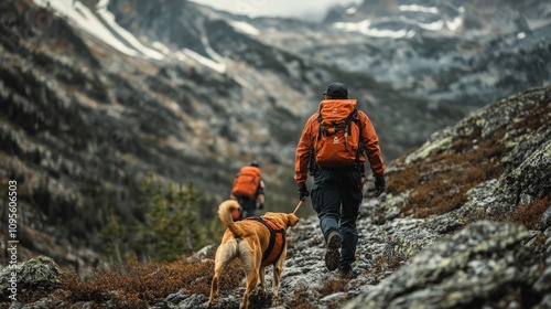 A search and rescue dog leading a rescue team through rough terrain, tirelessly tracking a missing hiker. photo