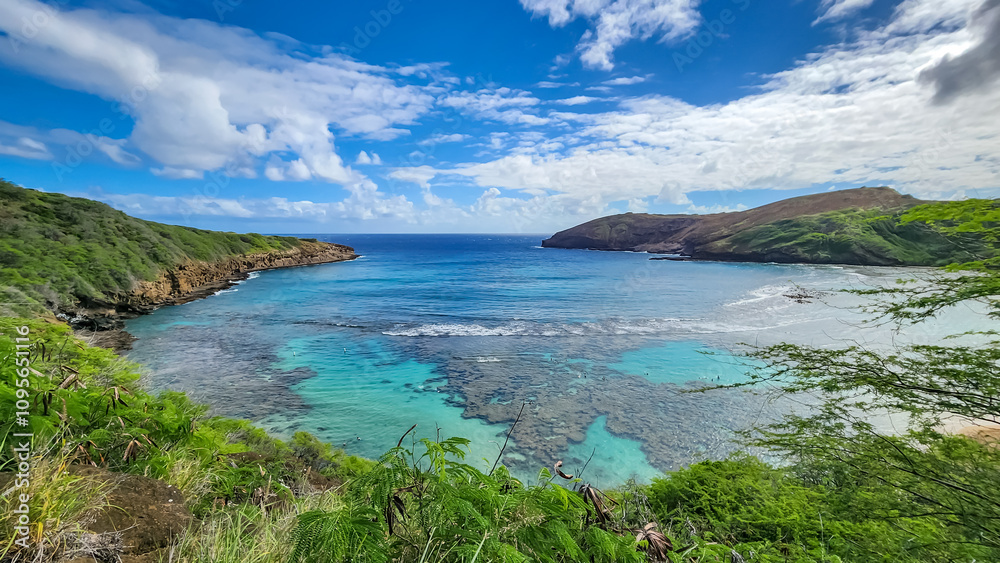 Fototapeta premium view of the beach