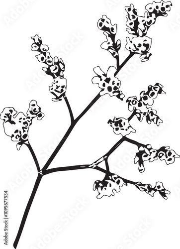 Vector Silhouette Collection: Clean and Bold Designs Set of small twigs of limonium flowers isolated on white or tran photo