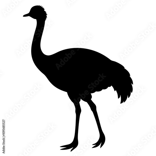 ostrich cartoon isolated on white photo